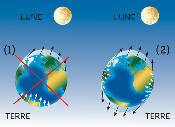 Marée ou Lune, Vente matériel météorologique
